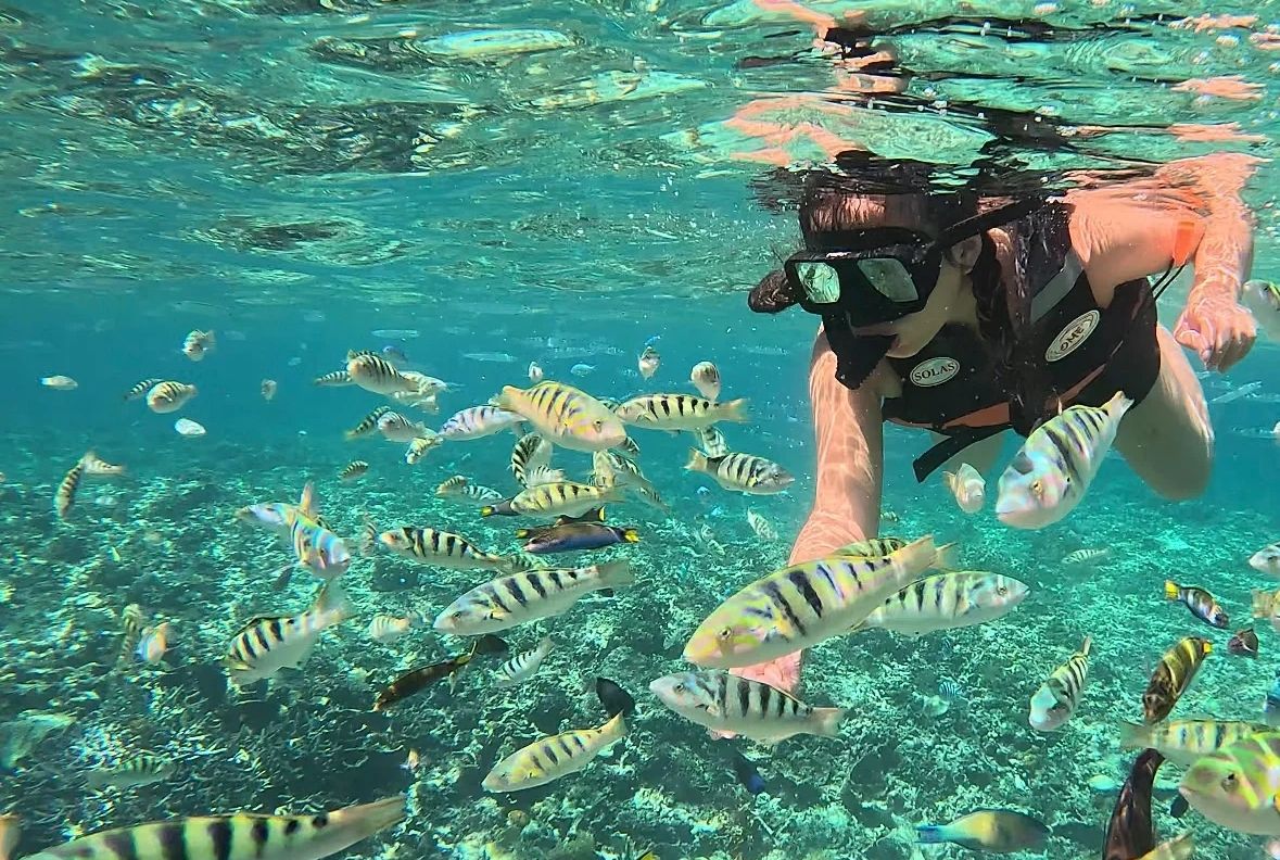 Snorkeling over a living reef in season, at Koh Tao, Koh Lipe, or the Similan Islands. Nobody standing on the coral, nobody feeding the fish. One reef day is the point, not a tour of every dive island.