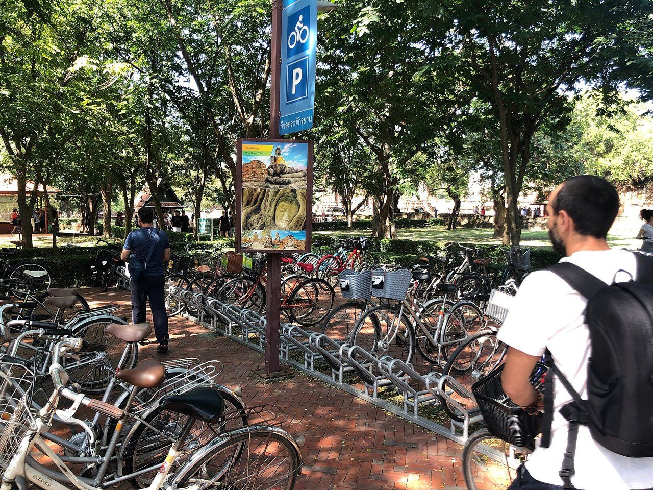 Bicycle the Island