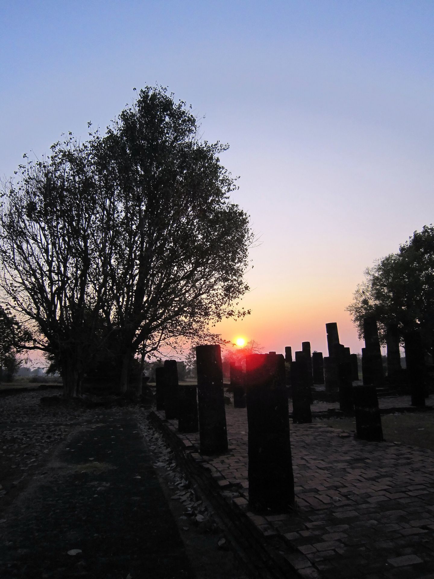 Dawn inside the Park