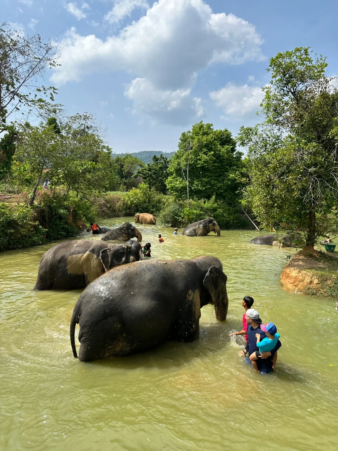 Elephant Jungle Sanctuary 1