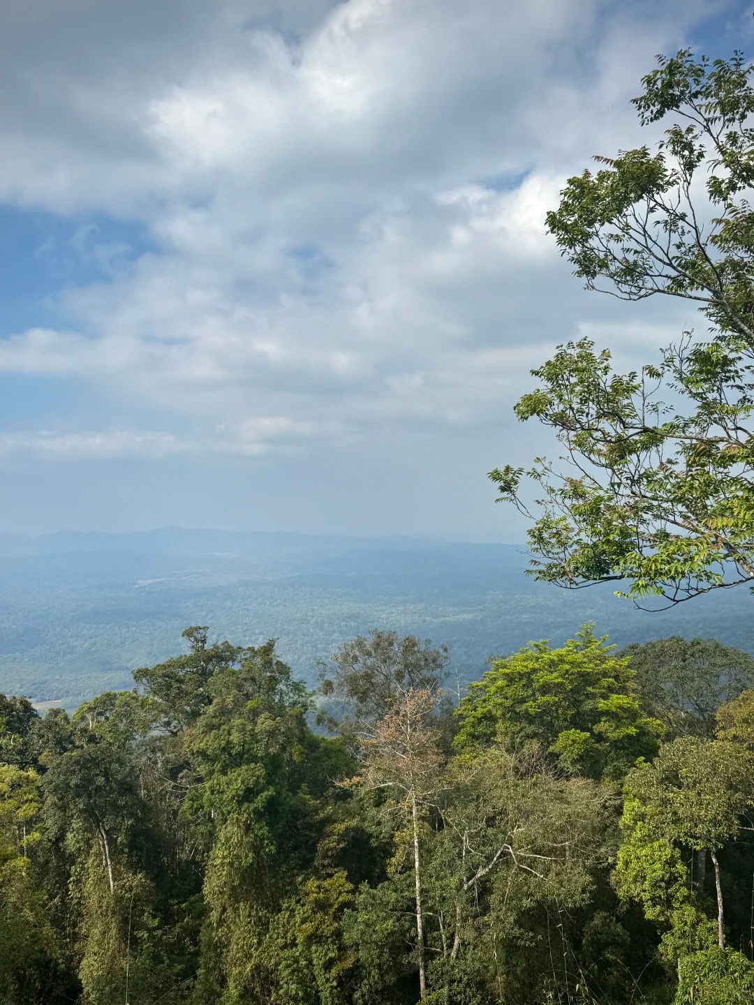 Khao Yai National Park 1