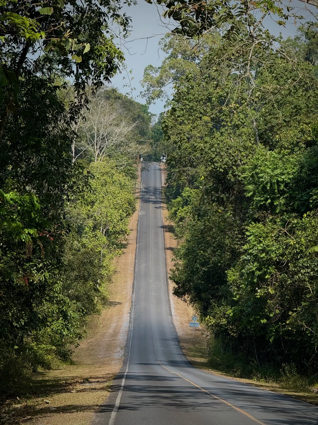 Khao Yai National Park 2