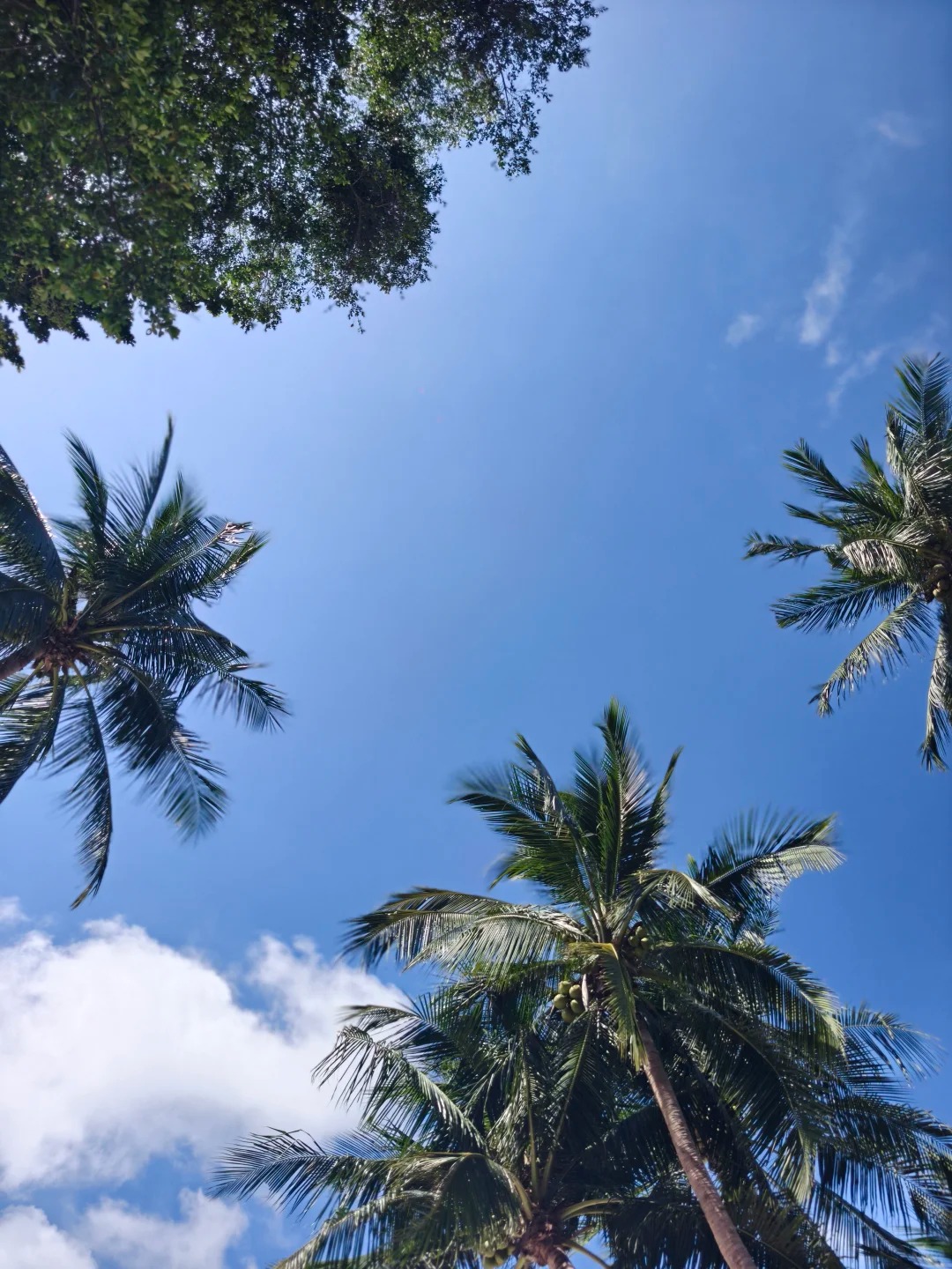Koh Phangan