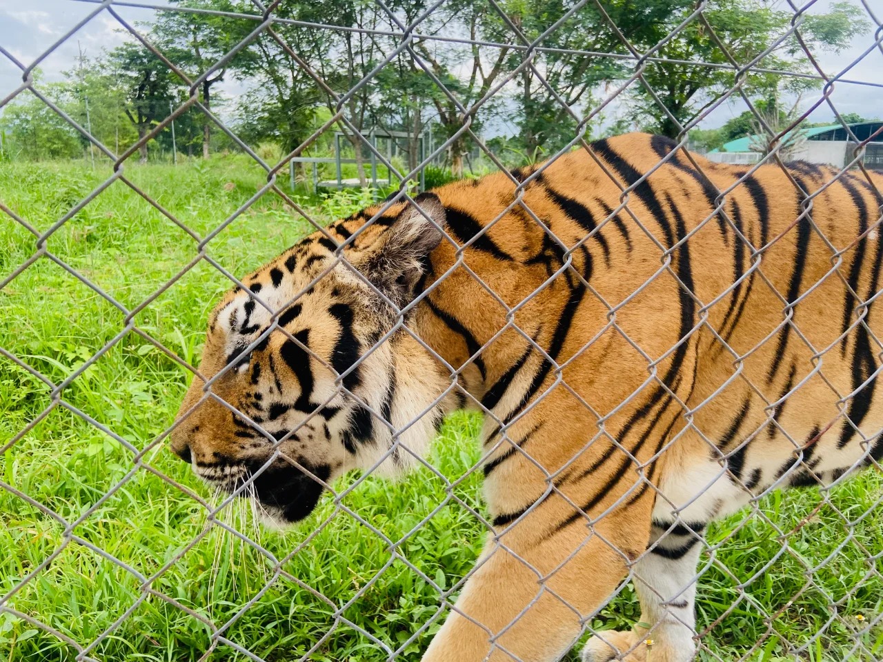 Wildlife Friends Foundation rescue center 3